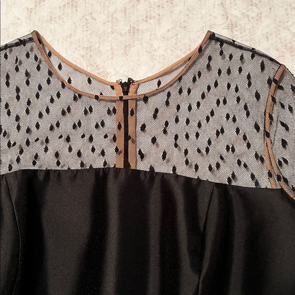 Carmen Marc Valvo Black Dress with Sheer Polka Dot Sleeves - Picture 2 of 6